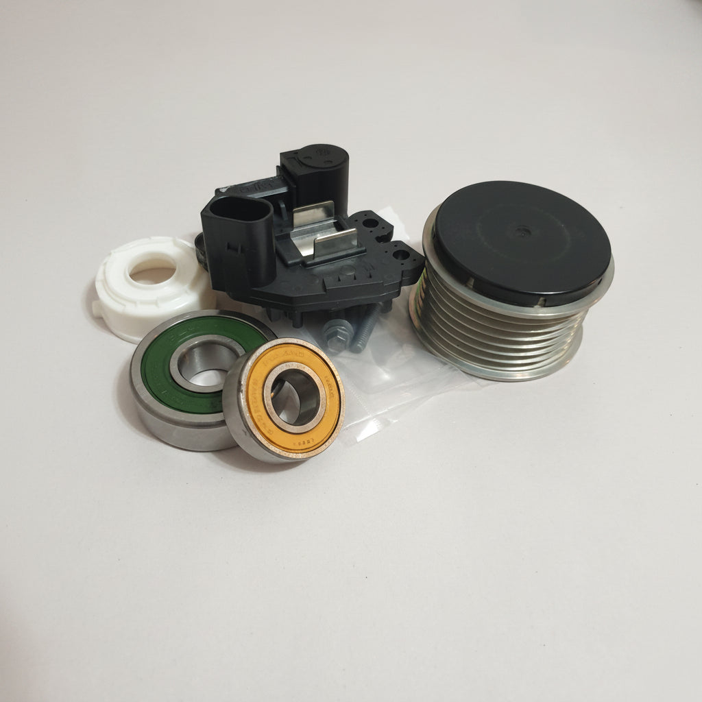 Alternator rebuild kit Touareg Cayenne, Q7 VR6
